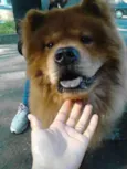 Akim