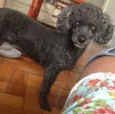 Sindy GRATIFICA