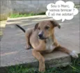 MARC, 1 aninho, um 