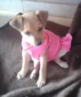 LOLA