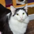 Santos