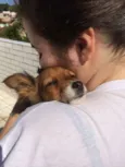 Lulu 