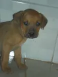 ainda não tem
