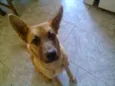 Francisco