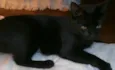 Tina