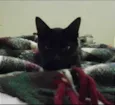 Tina