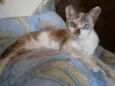 Roberta