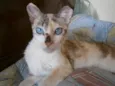 Roberta