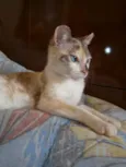 Roberta