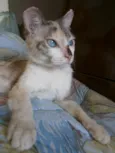 Roberta