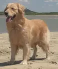 Clara
