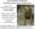 Cléo GRATIFICA