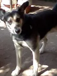 SPYKE