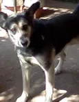 SPYKE