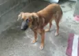 Linda