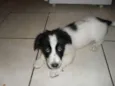 BILLY