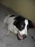 BILLY
