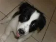 BILLY