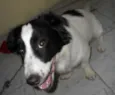 BILLY