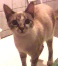 Mimi