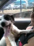 SCOOBY