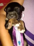 BERNARDO
