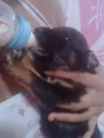 BERNARDO