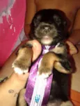BERNARDO