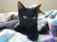 Tina