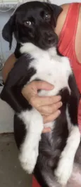 Mimi