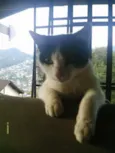 ??