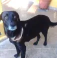 Neguinha