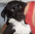 Mimi