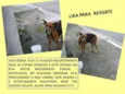 XUXA