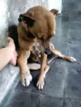 XUXA