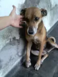 XUXA