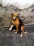 XUXA