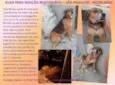 XUXA
