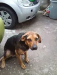 Buscapé