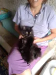 OREO