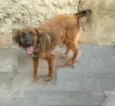 Linda