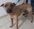 não sabemos
