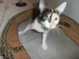 JellyBeans
