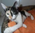 JellyBeans