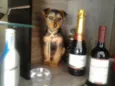 Pequeno