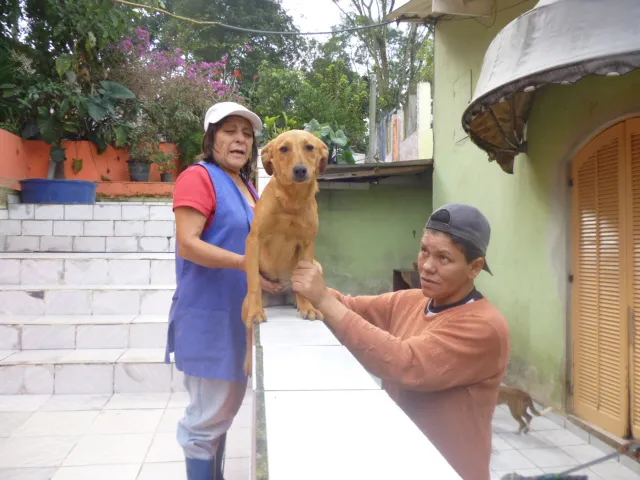 Cachorro ra a SRD idade 2 anos nome SANDROCA