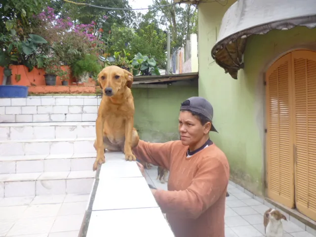 Cachorro ra a SRD idade 2 anos nome SANDROCA