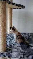Bruno & Valentina