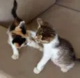 Bruno & Valentina