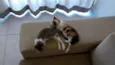 Bruno & Valentina